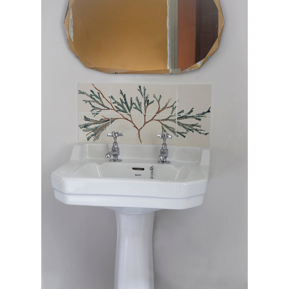 Porcelain Bathroom Tiles - Seaweed Tree