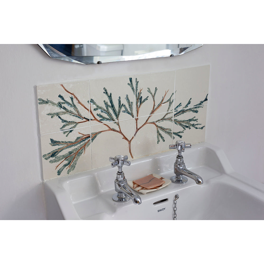 Porcelain Bathroom Tiles - Seaweed Tree