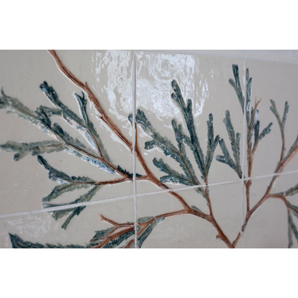 Porcelain Bathroom Tiles - Seaweed Tree