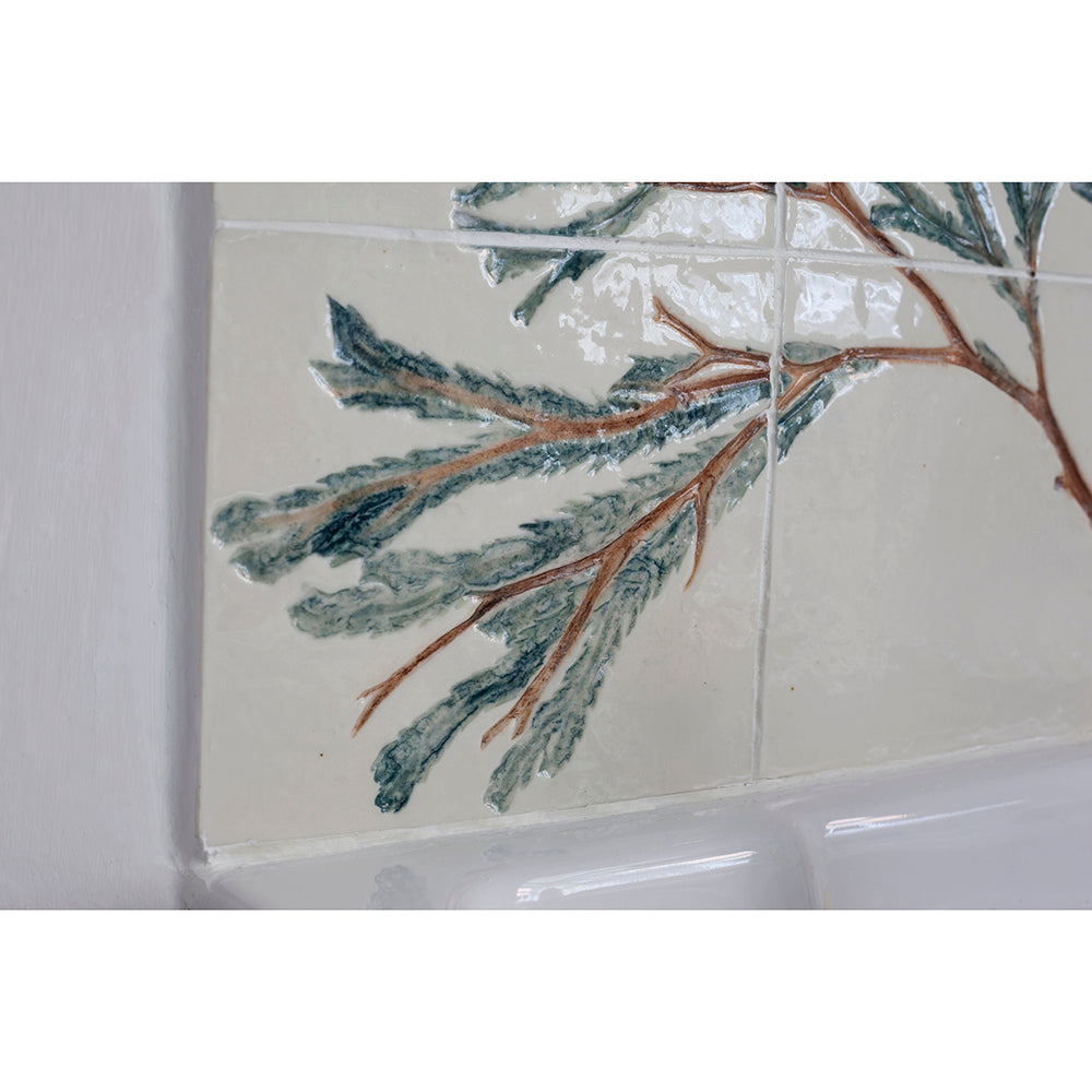 Porcelain Bathroom Tiles - Seaweed Tree