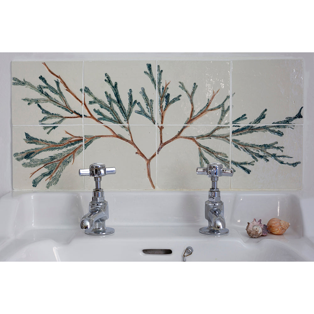 Porcelain Bathroom Tiles - Seaweed Tree