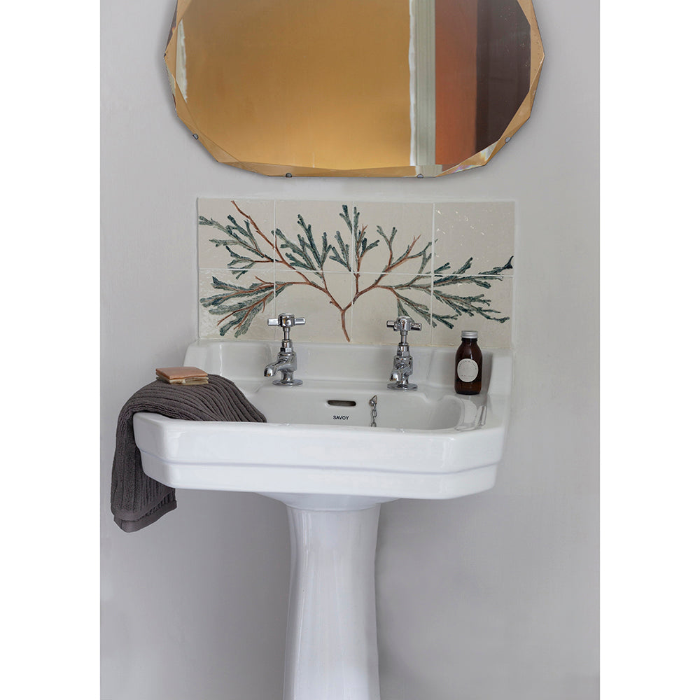 Porcelain Bathroom Tiles - Seaweed Tree