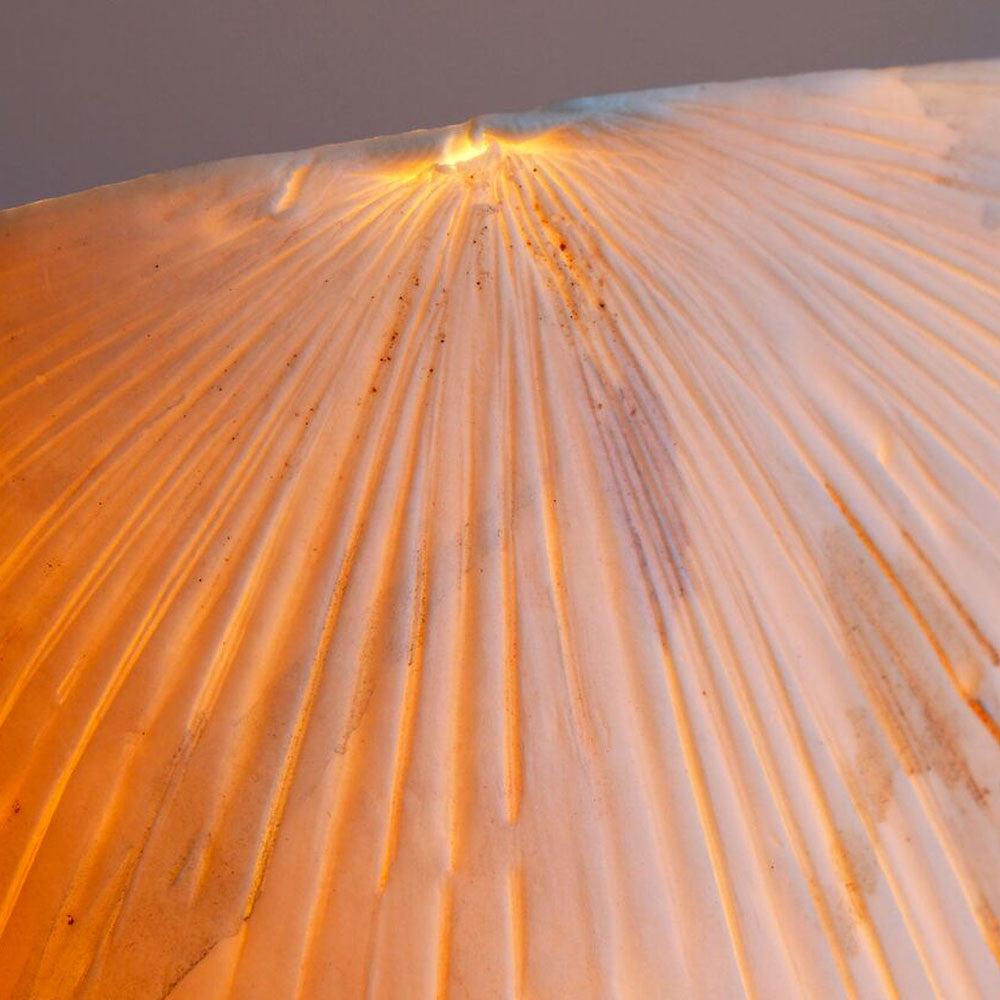 Rain Forest - Extra Large