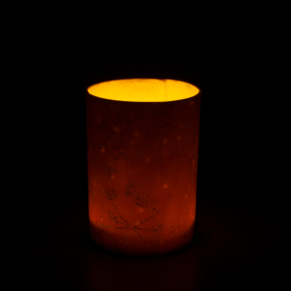 'Queen Anne's Lace' Night Light / Vase