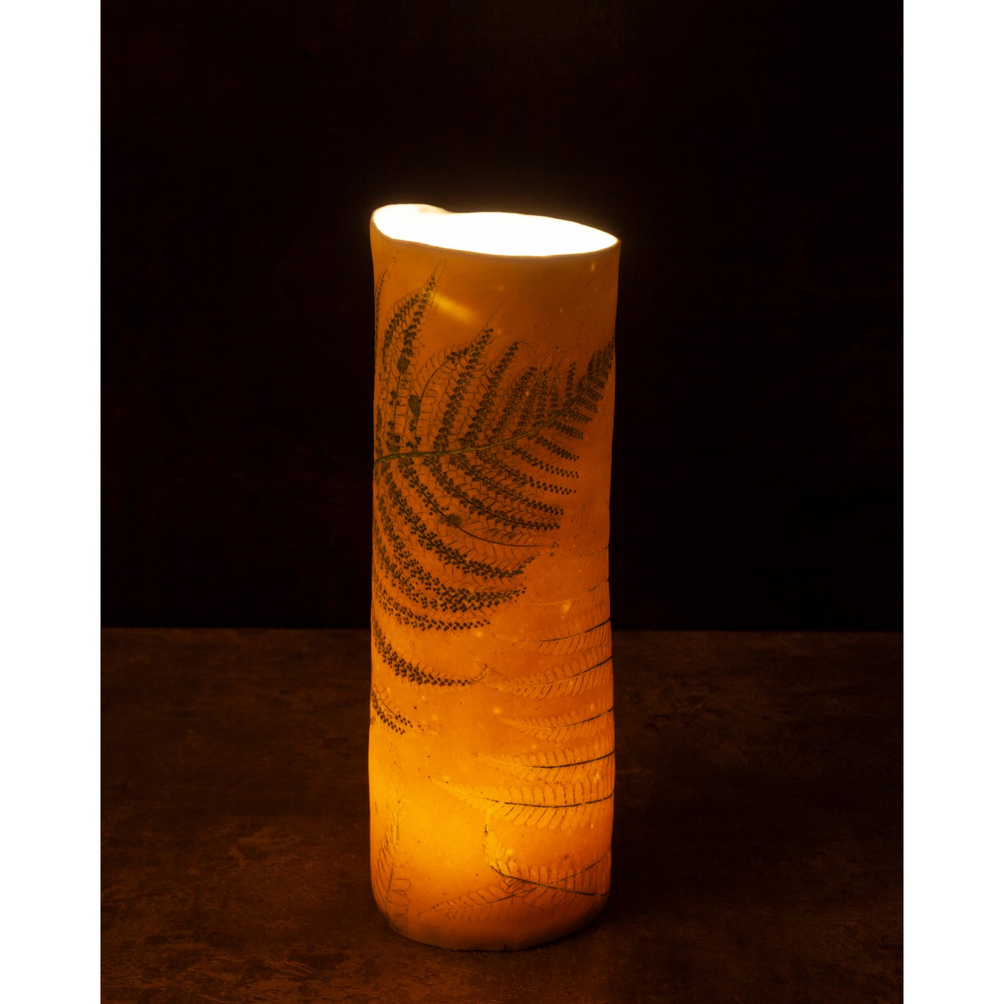 'Fern' Tall Night light / Vase