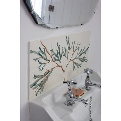 Porcelain Bathroom Tiles - Seaweed Tree