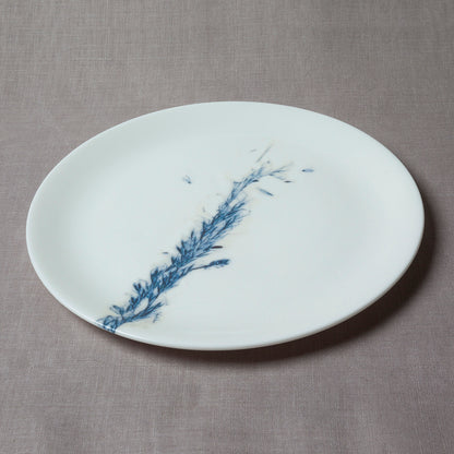 'Feathery Grasses' plate