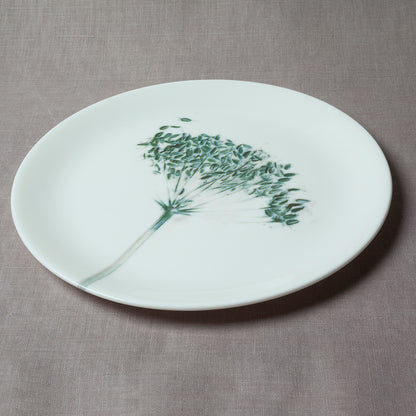 'Green Cowparsley' plate