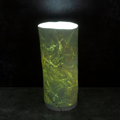 Forest Lamp - Large
