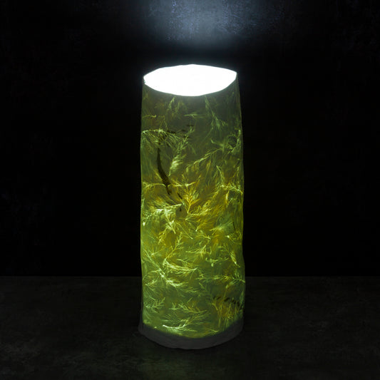 Forest Lamp - Large