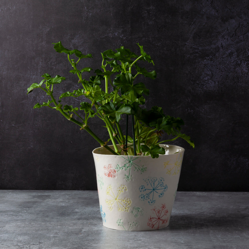 Queen Anne's Lace 'Cover Pot'