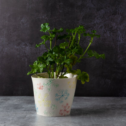 Queen Anne's Lace 'Cover Pot'