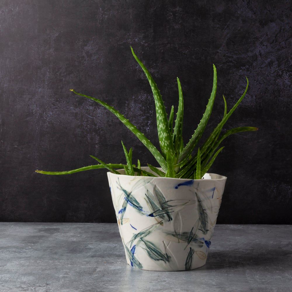 Olive 'Cover Pot'