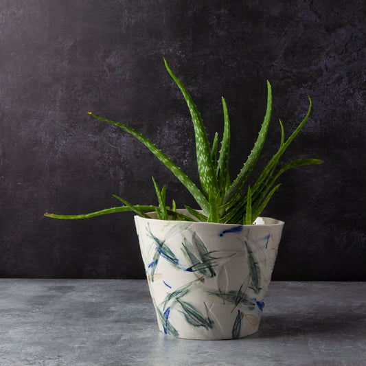 Olive 'Cover Pot'