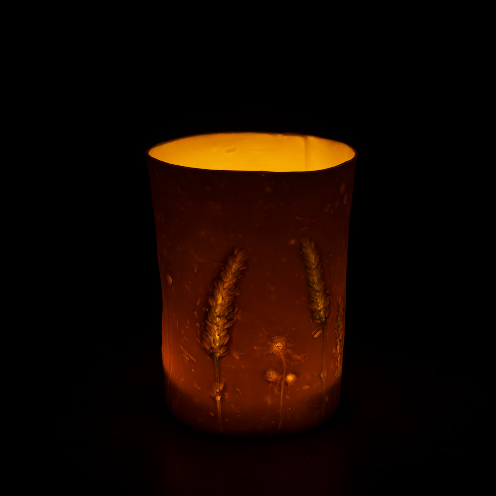 'Sunshine Grass' Night Light / Vase