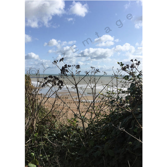 'Cowparsley out to sea' gift card